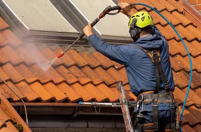 Démoussage et hydrofuge de toiture à Bellevesvre